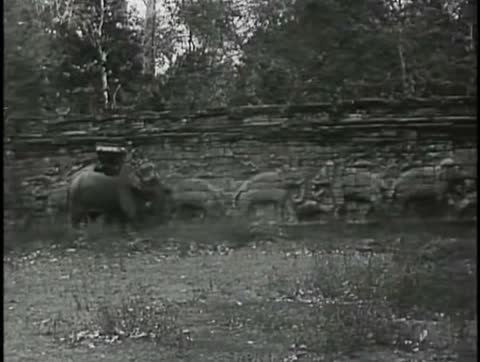 Elephants Walk Past Carved Elephants, Angkor Thom, Cambodia