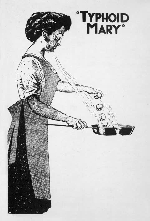 Typhoid Mary, as the papers drew her, New York City, New York